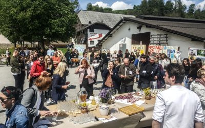 Zaključek projekta Kmetija – jej lokalno, misli globalno