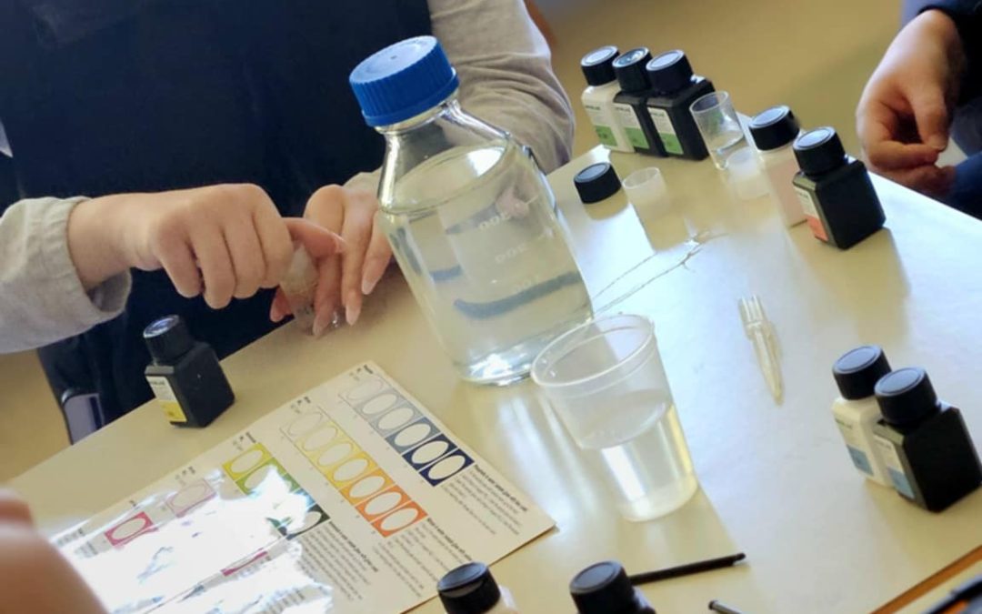 Delavnice v sodelovanju s Fakulteto za varstvo okolja